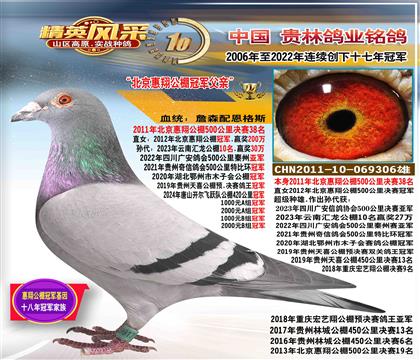 �游�����蹫��ھ�����