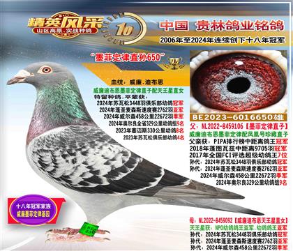 ����ī�ƶ�����