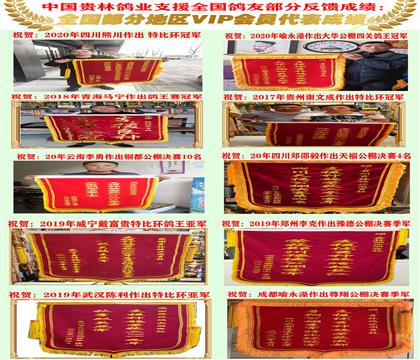 ���ָ�ҵ��������