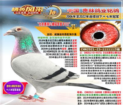 �������蹫��ھ�ֱ��