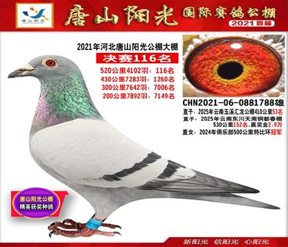 ������ɽ���⹫��116��