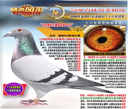 ��ĸ��11���ھ�ֱŮ