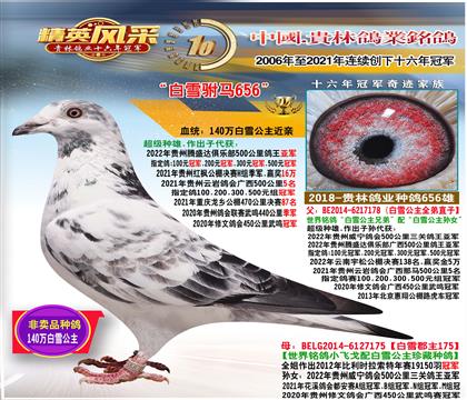 ����65��С�ɸ���