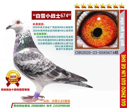 ȫ�㣺450����ھ�