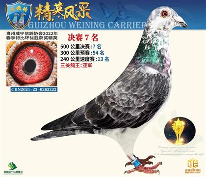 ��Ů��500��������Ǿ�