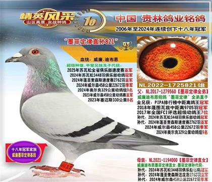 ����ī�ƶ�����