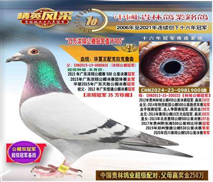 ����35��Ũ�蹫��ھ�ֱ��