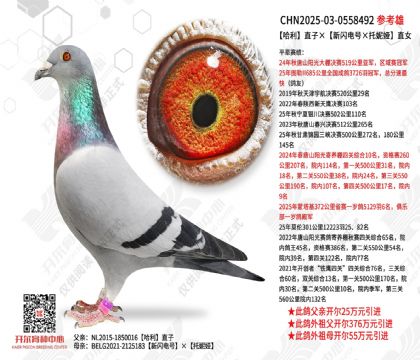 ����ֱ�ӡ���������š�����櫡�ֱŮ