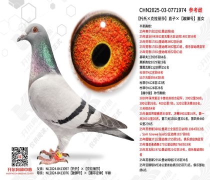 �����С�������ɯ��ֱ�ӡ��˽ź�ֱŮ