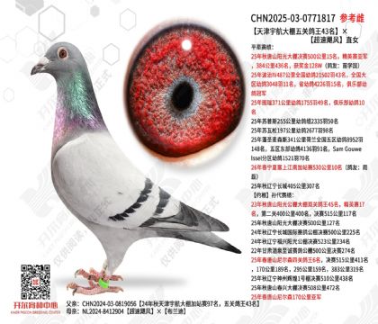 ����������ظ���43��������쫷�ֱŮ