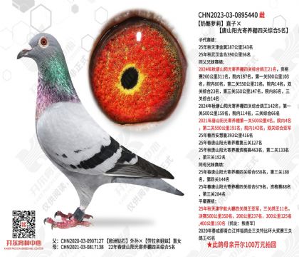 ��������ֱ�ӡ���ɽ����������Ĺ��ۺ�5��