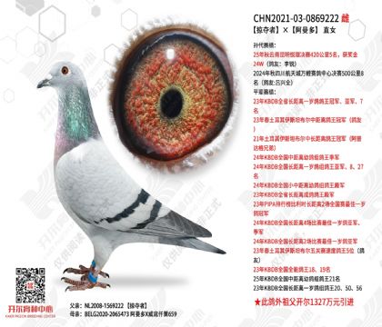 �Ӷ��ߡ�������ֱŮ