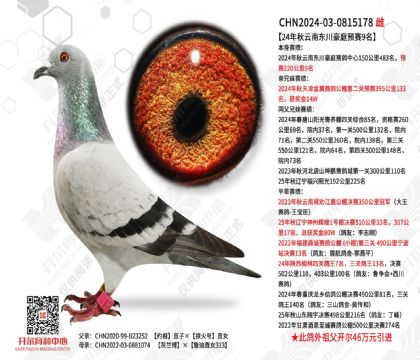 24�������϶�����ͥԤ��9��