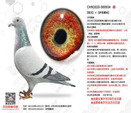 ���ˡ���������