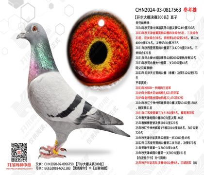 �����������300��ֱ��