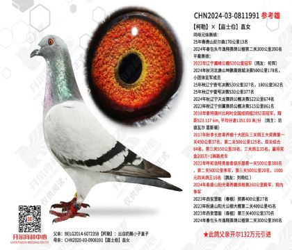 ���ա���ʿ��ֱŮ