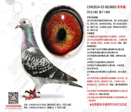 ����С��ֱ�ӡ�ֱŮ