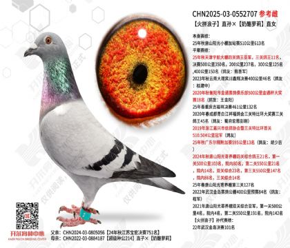 ��ƴ����ֱ�����������ֱŮ