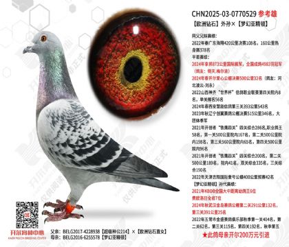 ŷ����ʯ������λ��Ǿ���