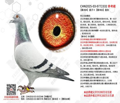 ��484ֱ�ӡ���483ֱŮ