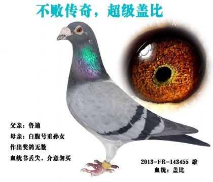 ���������ָ�