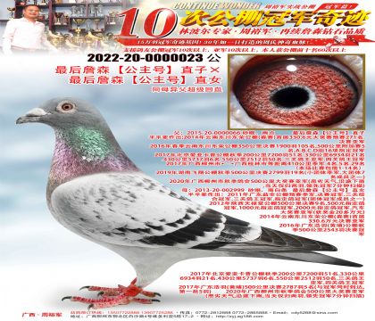 ���ղɭ�������š�ֱ�ӡ����ղɭ�������š�ֱŮ