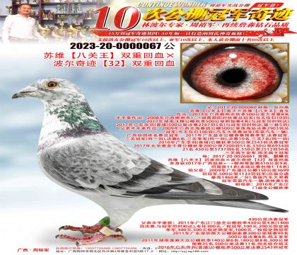 ��ά���˹�����˫�ػ�Ѫ�������漣��32��˫�ػ�Ѫ