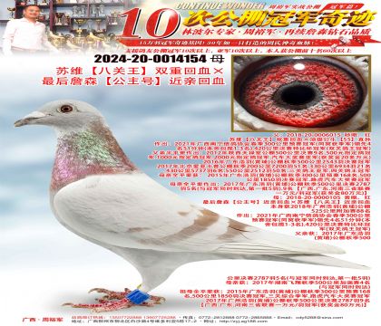 ��ά���˹�����˫�ػ�Ѫ�����ղɭ�������š����׻�Ѫ