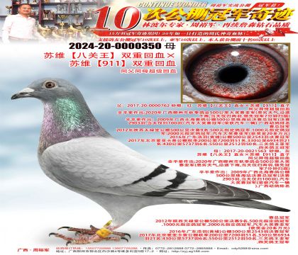 ��ά���˹�����˫�ػ�Ѫ����ά��911��˫�ػ�Ѫ