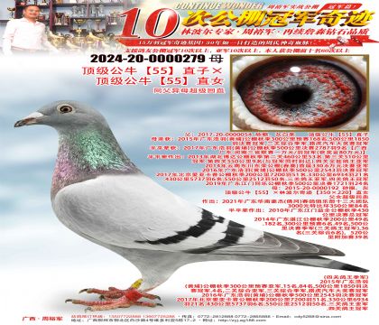 ������ţ��55��ֱ�ӡ�������ţ��55��ֱŮ