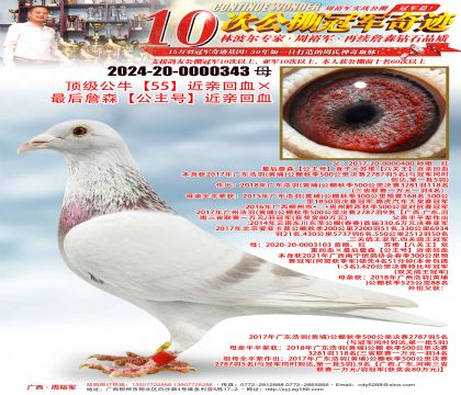 ��ά���˹�����˫�ػ�Ѫ�����ղɭ�������š����׻�Ѫ