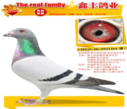 �����ƶ�ֱ��X���ƶ���Ů��