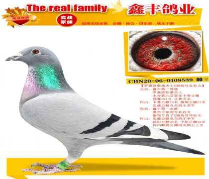 ��ɣ��ʿ��