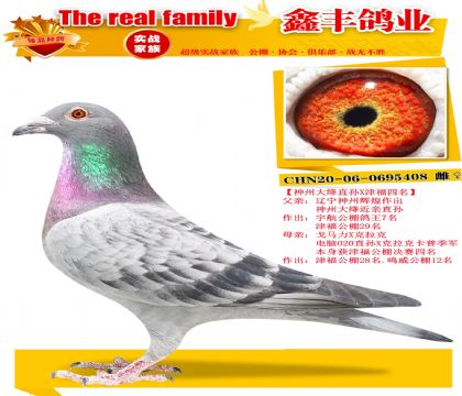 �����ݴ��X�򸣾���������