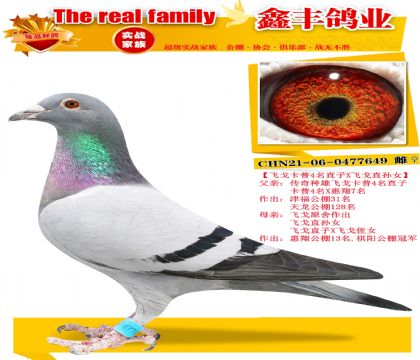 ���ɸ꿨��4��ֱ��X�ɸ���Ů��