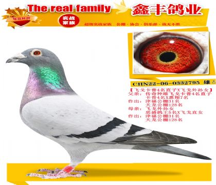 ���ɸ꿨��4��ֱ��X�ɸ���Ů��