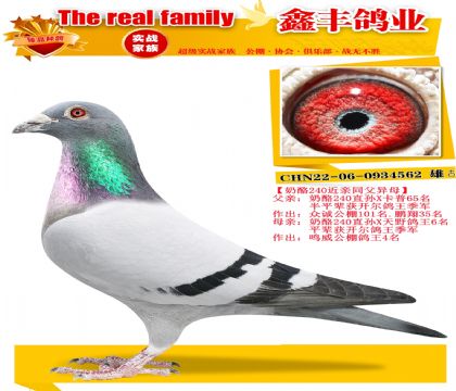 ������240���ס�