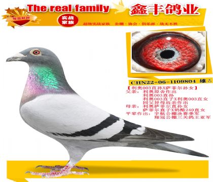 ������003��X���ƶ���Ů��