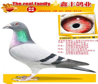 ������������3��ֱ��X������613��