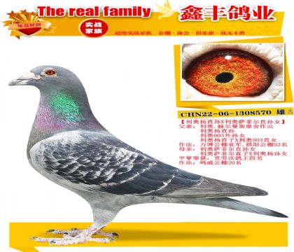 ����������ס�