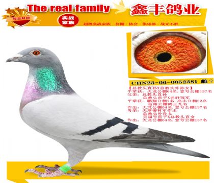 ���ܽ�ͷֱ��X�ܽ�ͷ����Ů��