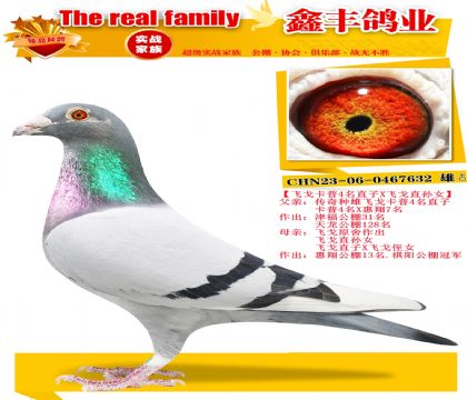 ���ɸ꿨��4��ֱ��X�ɸ���Ů��