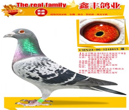 ���������ܽ���8��X�����ھ�ƽ����