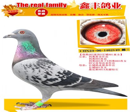 ������003X����801��