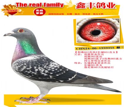 ������003X����801��