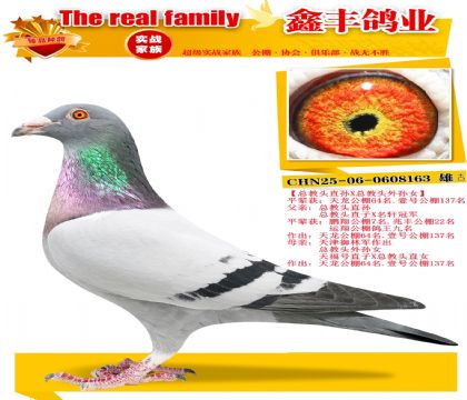 ���ܽ�ͷֱ��X�ܽ�ͷ����Ů��