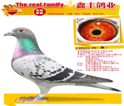 ��������ֱ��X���������޻��ơ�