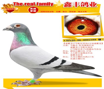 ���ٰ�����