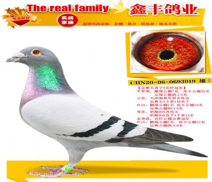 ���ܽ�ͷֱ��X�����ھ���