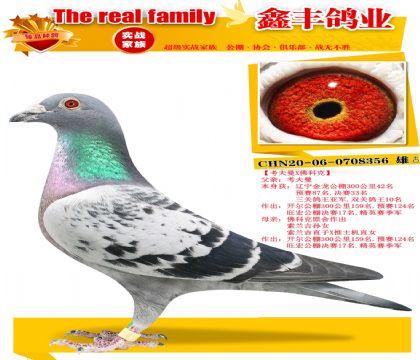 ��������X��ƿˡ�